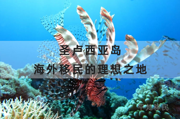 🏝️圣卢西亚岛：海外移民的理想之地🌟-移民文案